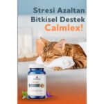 Benifital Calmlex Tablet Kediler Ve Köpekler Için Sakinleştirici Ve Rahatlatıcı Antistres Tablet - Görsel 4