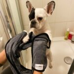 Oya Pet Cepli Pratik Köpek Havlusu, Süper Su Emici Mikrofiber, Gri - Görsel 4
