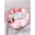 Sdy Pet Bubble Pelüş Kedi Köpek Yatak