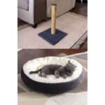 Kurtbay Şekil Kedi tuvaleti Premium Kedi başlangıç seti - Açık gri LKT2 - Görsel 3