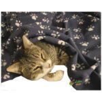 Ecotton Works Pati Desenli Kedi Köpek Evcil Hayvan Polar Battaniye Antrasit Gri Renk 90CM X120 - Görsel 2