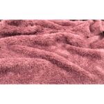 Ecotton Works Wellsoft Kedi Köpek Battaniyesi Gülkurusu Renk 70 cm x 90 cm - Görsel 2