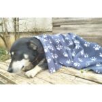 Ecotton Works Pati Desenli Kedi Köpek Evcil Hayvan Polar Battaniye Antrasit Gri Renk 70CM X90CM - Görsel 4