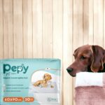 Pepy Pet Care Pepy 60X90 Cm Hijyenik Tuvalet Eğitim Pedi 30'Lu 4 Paket 120 Adet - Görsel 2