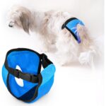 Funny And Furry Köpek Regl Külodu -Sanitary Pants