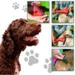 Funny And Furry Köpek Regl Külodu -Sanitary Pants - Görsel 4