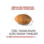 Royal Canin Persian Adult Kuru Kedi Maması 4 kg - Görsel 3
