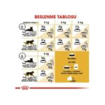 Royal Canin Persian Adult Kuru Kedi Maması 4 kg - Görsel 4