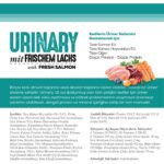 Nutri Feline Urinary Somon Etli 10KG Nutri Feline Kedi Maması - Görsel 4