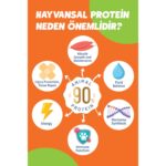 Solomon Kısırlaştırılmış Somon'lu Süper Premium Kedi Maması 1,5 kg - Hipoalerjenik - Düşük Tahıllı - Görsel 2