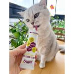 Pitho Multi Booster | Kediler İçin Taurin İçeren Destekleyici Multivitamin Malt 100 ML - Görsel 4