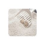 Akacat 10 Lt Beyaz Bentonit Doğal %100 Topaklaşan Kedi Kumu - Görsel 3