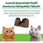 Vet's Plus Hairball Çiğnenebilir Tablet 60'lı (Malt ve Kionalı Tüy Yumağı Önleyici) - Görsel 4