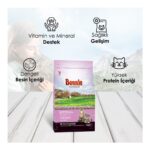 Bonnie Tavuklu Yavru Kedi Maması 1,5 kg x 3 - Görsel 5