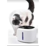 Kiwi Otomatik  Kedi ve Köpek Su Çeşmesi - Görsel 4