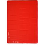 Eva Türkiye (75X110 CM) Kedi Tuvalet Önü Paspası Kedi Kumu Paspası Kedi Matı - Görsel 2