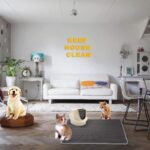 Hasby Elekli Kedi Tuvalet Önü Paspası Kedi Kumu Paspası 45x60 cm - Görsel 4