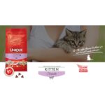 Unique Yavru Kedi Kitten Maması Somonlu 2 kg - Görsel 2