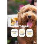 HiPet Multivitamin Çiğnenebilir Tablet 200 gr Yüksek Proteinli Köpekler İçin Vitamin Takviyesi - Görsel 2