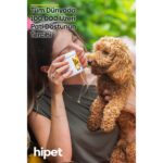 HiPet Multivitamin Çiğnenebilir Tablet 200 gr Yüksek Proteinli Köpekler İçin Vitamin Takviyesi - Görsel 4