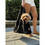 Salya Store Yeni Jean Köpek Taşıma Çantası Siyah  0 - 8 kg Küçük Irklar - Görsel 5