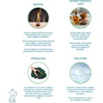 Kahu Naturals Biyotin & Kolajen Deri ve Tüy Sağlığı Kedi Maltı, Spirulina Içerikli, Tüy Dökülme Karşıtı 100 ml - Görsel 3