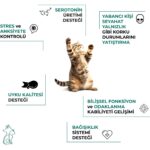 Kahu Naturals Calming Relief Paste, Bitkisel Içerikli Kediler Için Sakinleştirici Rahatlatıcı Malt, 100 ml - Görsel 2