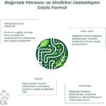 Kahu Naturals Floravital, Köpekler Için Probiyotik ve Prebiyotik Desteği, 60 Tablet - Görsel 3