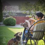 Kahu Naturals Joints&mobility, Glukozamin, Kondritin, Msm, Kolajen, Kedi ve Köpek, 60 Tablet - Görsel 5