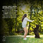 Kahu Naturals Skin&coat, Deri ve Tüy Sağlığı Takviye, Bira Mayası, Sarımsak, Mos, Spirulina, 60 Tablet - Görsel 5