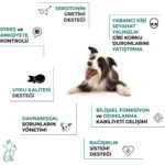 Kahu Naturals Calm Canine Formula, Köpekler Için Bitki Özlü Sakinleştirici Rahatlatıcı Takviye, 60 Tablet - Görsel 2