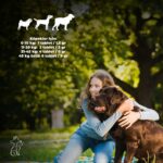 Kahu Naturals Calm Canine Formula, Köpekler Için Bitki Özlü Sakinleştirici Rahatlatıcı Takviye, 60 Tablet - Görsel 5