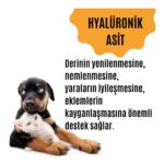 Vetugen Kedi ve Köpekler İçin Multivitamin (Tüy Dökülmesini Engelleyen Tüy & Deri Güçlendirici Özel Destek Ürünü) - Görsel 4