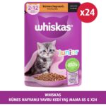 Whiskas  Yavru Kümes Hayvanlı 85 gr 24X