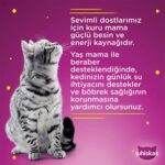 Whiskas  Yavru Kümes Hayvanlı 85 gr 24X - Görsel 3