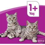 Whiskas  Yavru Kümes Hayvanlı 85 gr 24X - Görsel 4