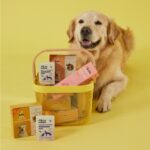 Kito Balık Yağı 200 ml ( Kedi ve Köpekler için Omega 3 & 6 İçerikli Deri ve Tüy Sağlığı Destekleyici Balık Yağı) - Görsel 3