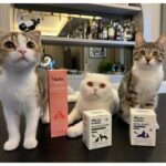 Kito Balık Yağı 200 ml ( Kedi ve Köpekler için Omega 3 & 6 İçerikli Deri ve Tüy Sağlığı Destekleyici Balık Yağı) - Görsel 4