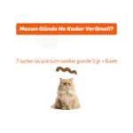 Vet's Plus Multivitamin Malt Macun 100gr (Yetişkin Kediler için Multivitamin Desteği) - Görsel 4