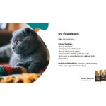 Reflex Plus british shorthair Yetişkin Kedi Maması 1.5 kg - Görsel 2