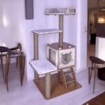 Pati Homes Pro Katlı Kedi Oyun Evi Xl Yataklı - Kedi Tırmalaması - Görsel 3