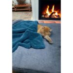 Mislina Home Paw Wellsoft Kedi Köpek Battaniyesi 100X100 cm Petrol Mavisi - Görsel 2