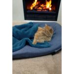 Mislina Home Paw Wellsoft Kedi Köpek Battaniyesi 100X100 cm Petrol Mavisi - Görsel 3