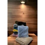 Mislina Home Paw Wellsoft Kedi Köpek Battaniyesi 100X100 cm Petrol Mavisi - Görsel 4