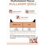 Vitpaw Sterile Paste 100 Gr.(KISIRLAŞTIRILMIŞ KISIR KEDİLER IÇİN MULTİVİTAMİN VE MİNARELLİ MALT MACUN) Kedi Vitamini - Görsel 3