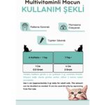 Vitpaw Multi Paste 100 Gr.(KEDİLER İÇİN BAĞIŞIKLIK GÜCLENDİRİCİ VE TÜY YUMAĞI ÖNLEYİCİ MULTİVİTAMİN) Kedi Vitamin - Görsel 3