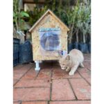 Narım Kedi Yuvası Kedi Evi Kedi Yatağı 11 mm Osb Den Üretimmiştir 33X37X41 cm - Görsel 3