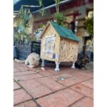 Narım Kedi Yuvası Kedi Evi Kedi Yatağı 11 mm Osb Den Üretimmiştir 33X37X41 cm - Görsel 5