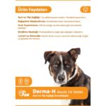Dr. Paw Derma H Plus Büyük Irk Köpekler için Glütensiz ve Şekersiz Tüy ve Cilt Sağlığı Destekleyici Çiğnenebilir Tablet (60 Tablet, 120 gr) - Görsel 2