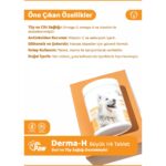 Dr. Paw Derma H Plus Büyük Irk Köpekler için Glütensiz ve Şekersiz Tüy ve Cilt Sağlığı Destekleyici Çiğnenebilir Tablet (60 Tablet, 120 gr) - Görsel 3
